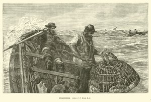 Crabbers by English School