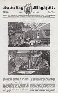Cultivation of silk by English School