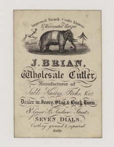 Cutler, J Brian