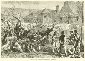 Cutting Down Trees Round Paris for Firewood, October 1870 by English School