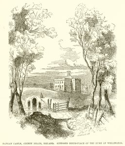 Dangan Castle, County Meath, Ireland. Supposed Birth-Place of the Duke of Wellington by English School