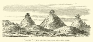 Danish Tumuli or Mounds near Ashdown, Essex
