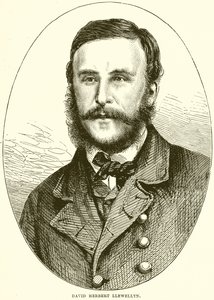 David Herbert Llewellyn by English School