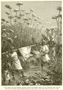 David Livingstone on a stretcher
