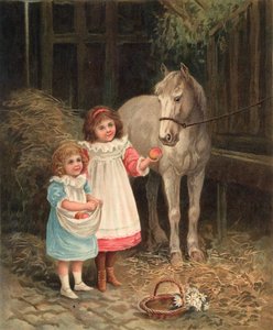 Dear Old Dobbin