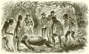Death of Du Chaillu