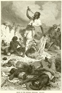 Death of the Emperor Theodore
