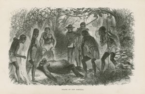 Death of the Gorilla