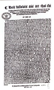 Declaration by Lords indicating the Earl of Bothwell as the murderer of Lord Darnley, 1567 by English School