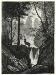 Deer in Forest by English School