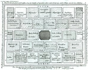 Design for a Completed Kitchen Garden, from New Principles of Gardening, by Betty Langley by English School