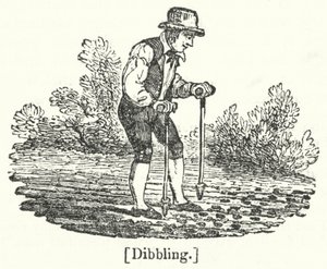 Dibbling by English School