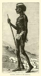 Djangal, Native of the Sirgouja
