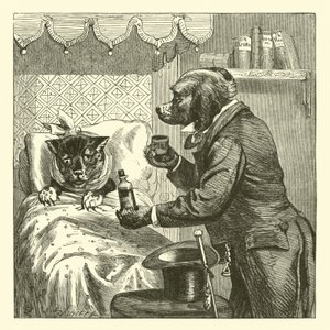 Dog Giving Pills to Sick Cat by English School