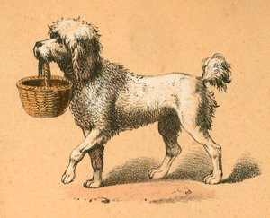Dog with Basket