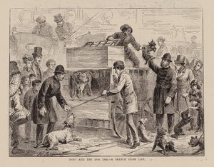 Dogs and the Dog Tax, A Sketch from Life