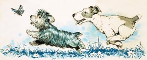 Dogs Chasing a Butterfly