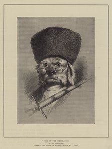 Dogs of the Corporation by English School