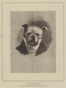 Dogs of the Corporation by English School