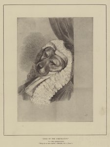 Dogs of the Corporation by English School