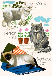 Domestic Cats by English School