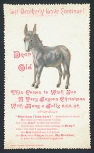 Donkey by English School