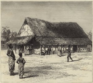 Dr Livingstone