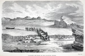 Dragging the Boats to the Illuidlek Island, London 1886 by English School