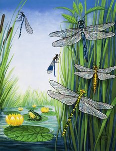 Dragonflies by English School
