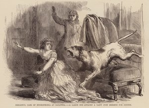 Dreadful case of hydrophobia at Saratoga, a large dog attacks a lady just dressed for dinner by English School