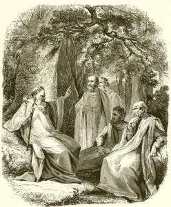 Druids in the Sacred Grove
