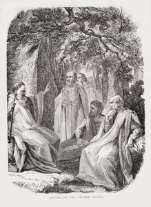 Druids in the Sacred Grove, from The History of France, by Emile de Bonnechose
