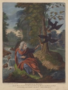 Elijah fed by Ravens