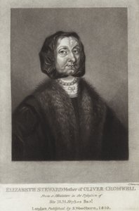 Elizabeth Steward by English School