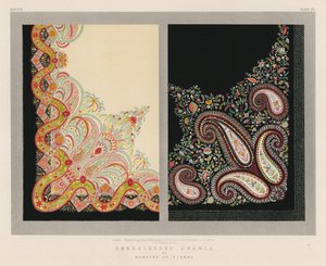 Embroidered Shawls