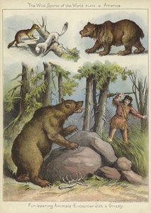 Encounter with a Grizzly by English School