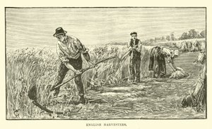 English harvesters