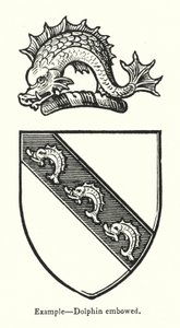 Example, Dolphin embowed by English School