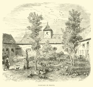 Farmyard in France