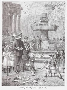 Feeding the Pigeons at St Paul