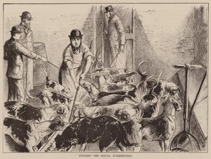 Feeding the Royal Buckhounds