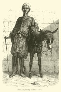 Fellah, Arab; Donkey Boy