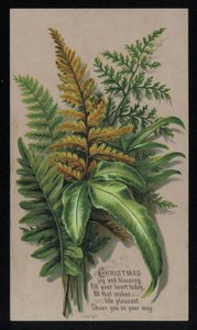 Festive leaf arrangement, Christmas card by English School