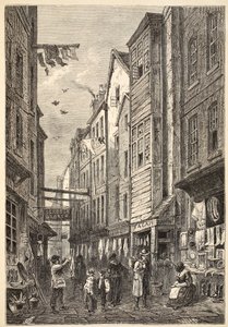 Field Lane