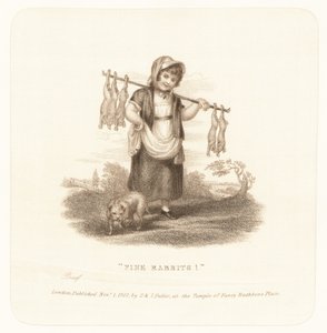 Fine Rabbits!