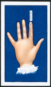 First Finger by English School