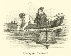 Fishing for Whitebait by English School