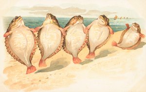 Five Flatfish Dancing on a Beach by English School