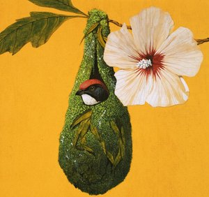 Flower-pecker bird from India and Australia