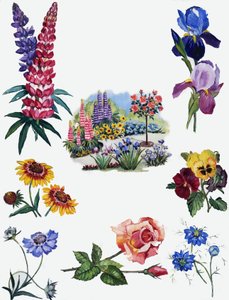 Flowers by English School
